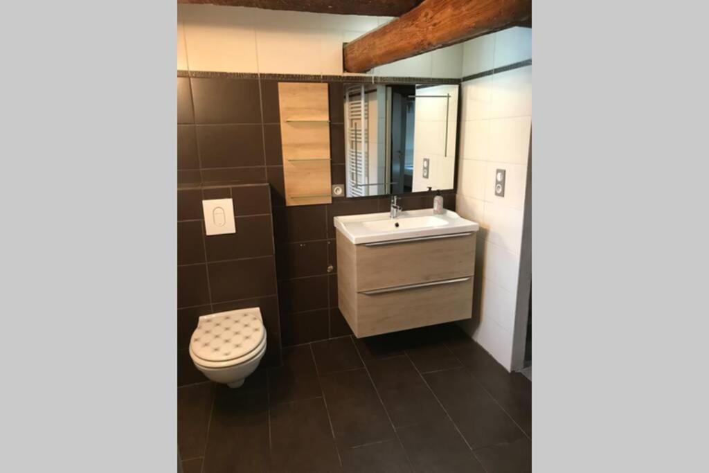 Am Dantzwaj Appartement Lembach Buitenkant foto