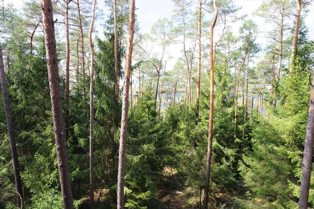 Am Dantzwaj Appartement Lembach Buitenkant foto