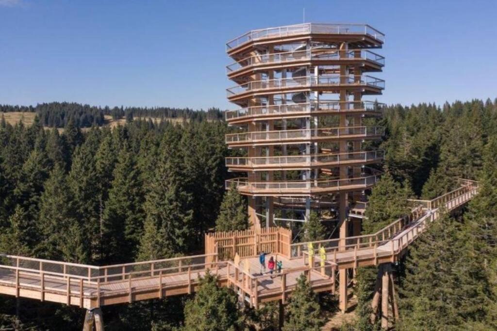 Am Dantzwaj Appartement Lembach Buitenkant foto